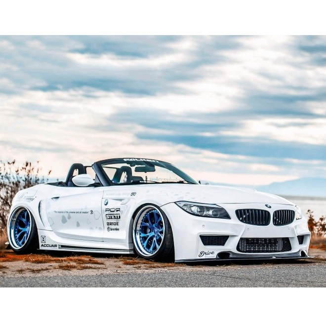 Z4 E89