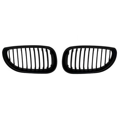 E60/E61 mustad neerud