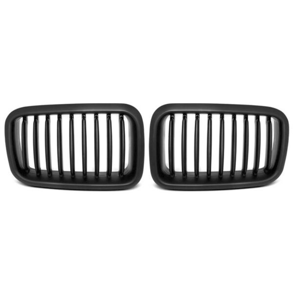 E36 mustad neerud (Preface)