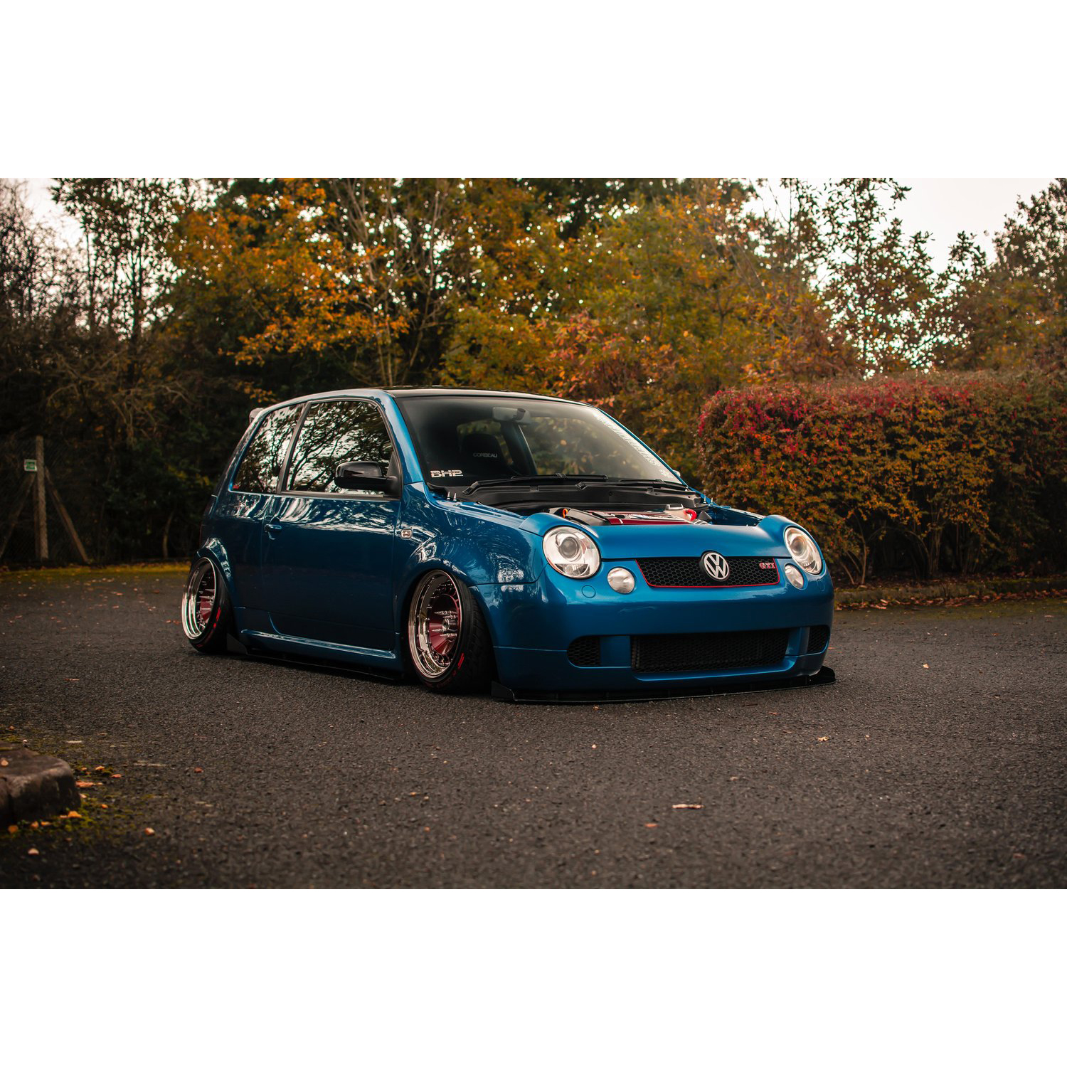 Lupo