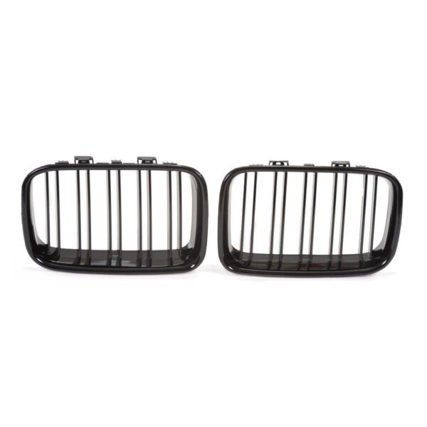 E36 mustad neerud (Preface)