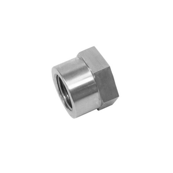 3/4NPT keevitatav teras ots - emane