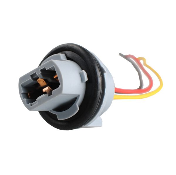 T20 - W21/5W pirnipesa