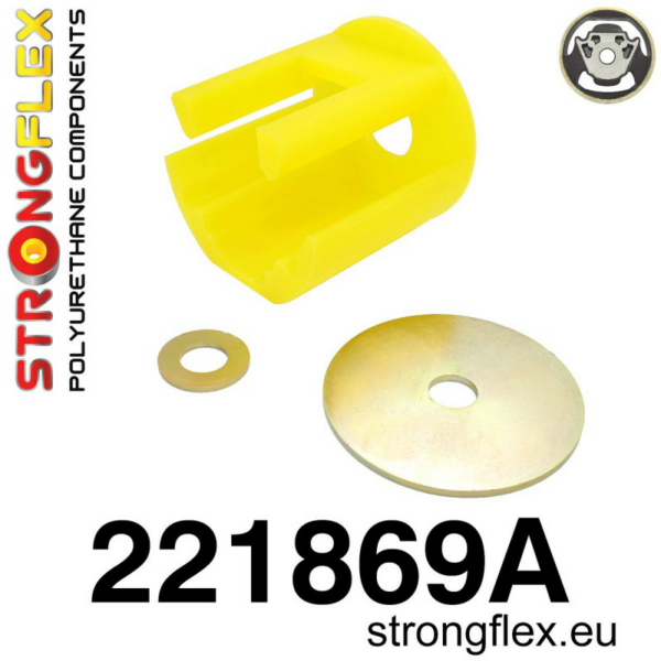 221869A: Audi A3 (8P) alumise mootoripadja sisend