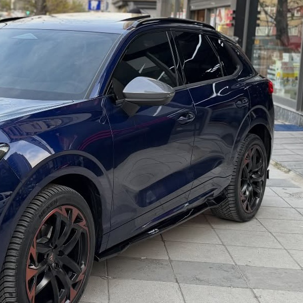 Cupra Terramar külje splitterid