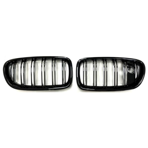 BMW F10/F11 mustad neerud (Night Vision)